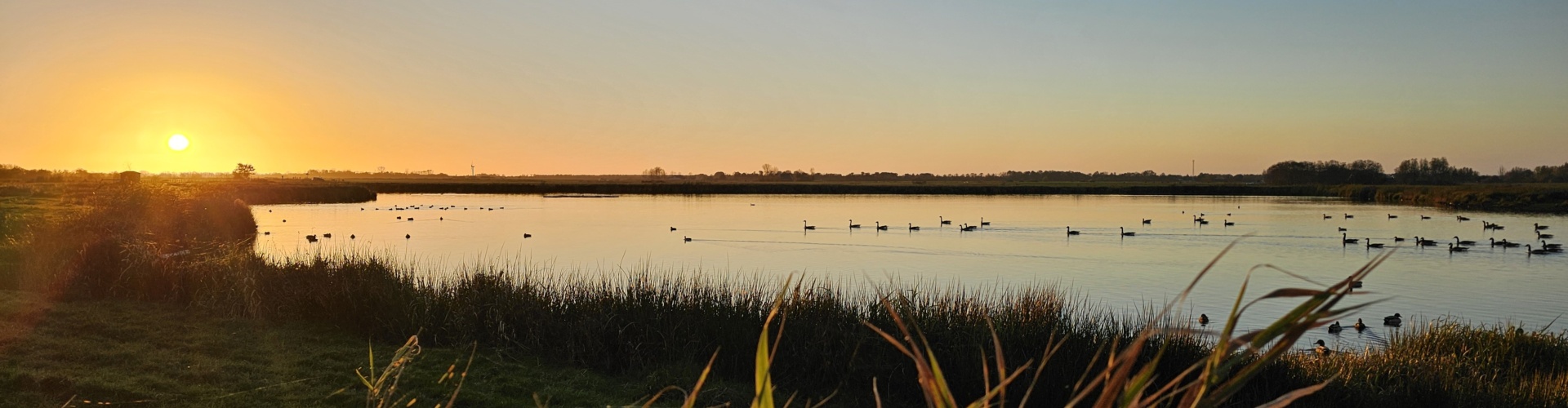 Zwagermieden – Natuurgebied bij Vakantiepark Ljeppershiem