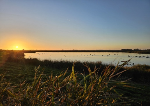 Zwagermieden – Natuurgebied bij Vakantiepark Ljeppershiem